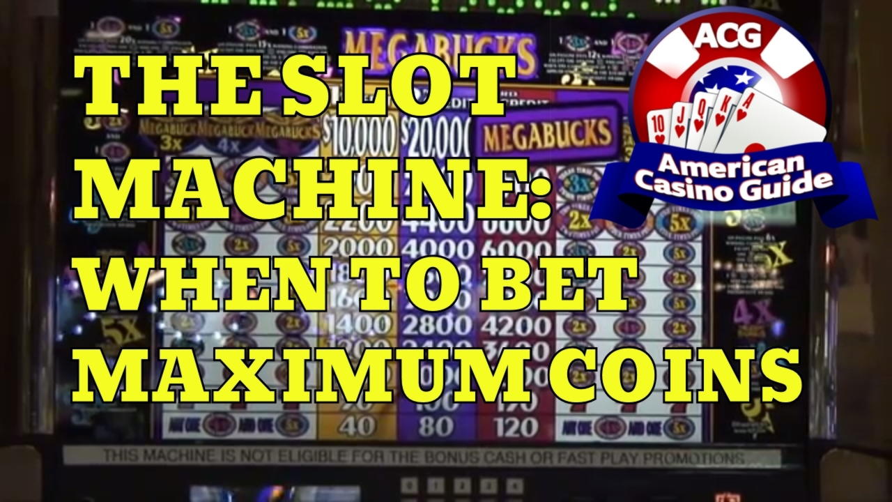 ﻿$3655 no deposit casino bonus at CoolCat Casino