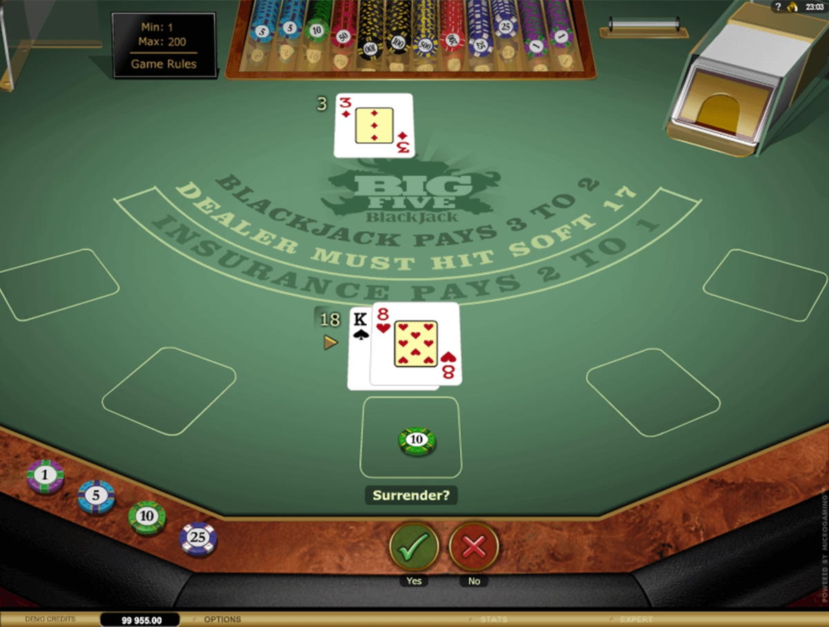 505% Match bonus at Roaring 21 Casino
