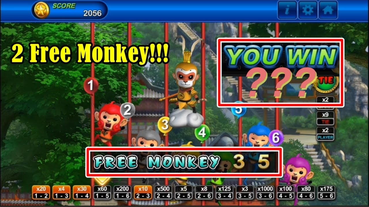 ﻿$345 Online Casino Tournament at CoolCat Casino