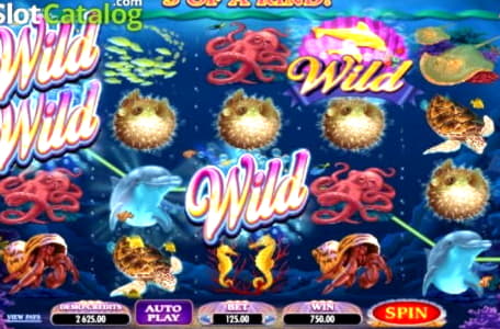 EURO 1030 No deposit bonus code at Cherry Gold Casino
