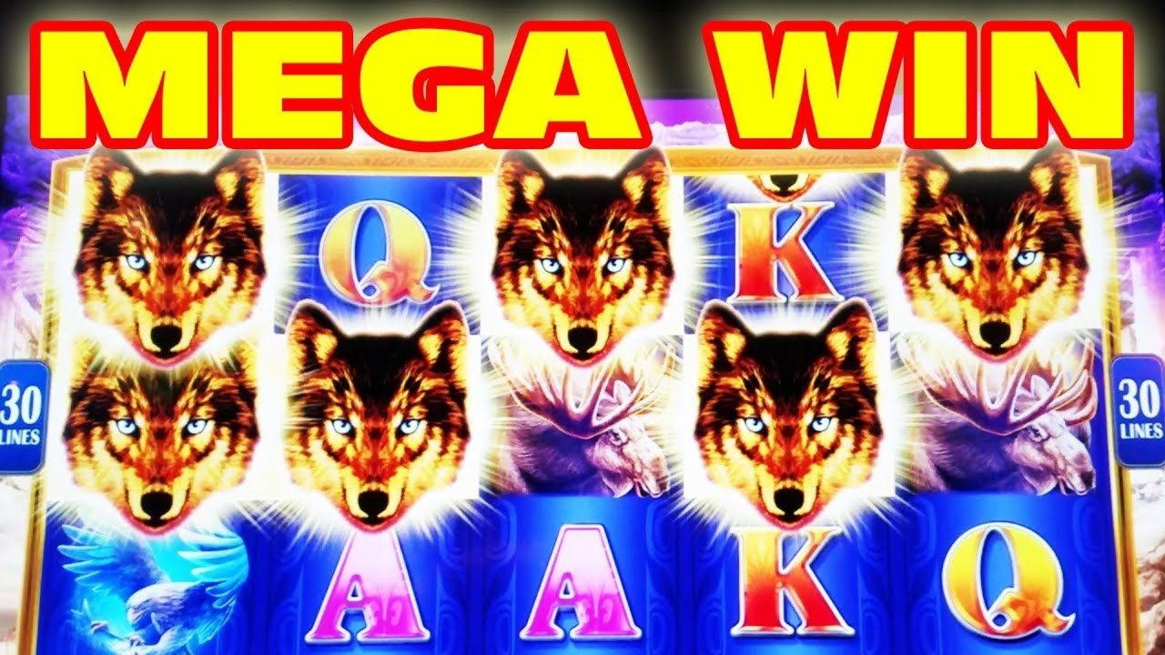 Eur 90 Mobile freeroll slot tournament at CoolCat Casino