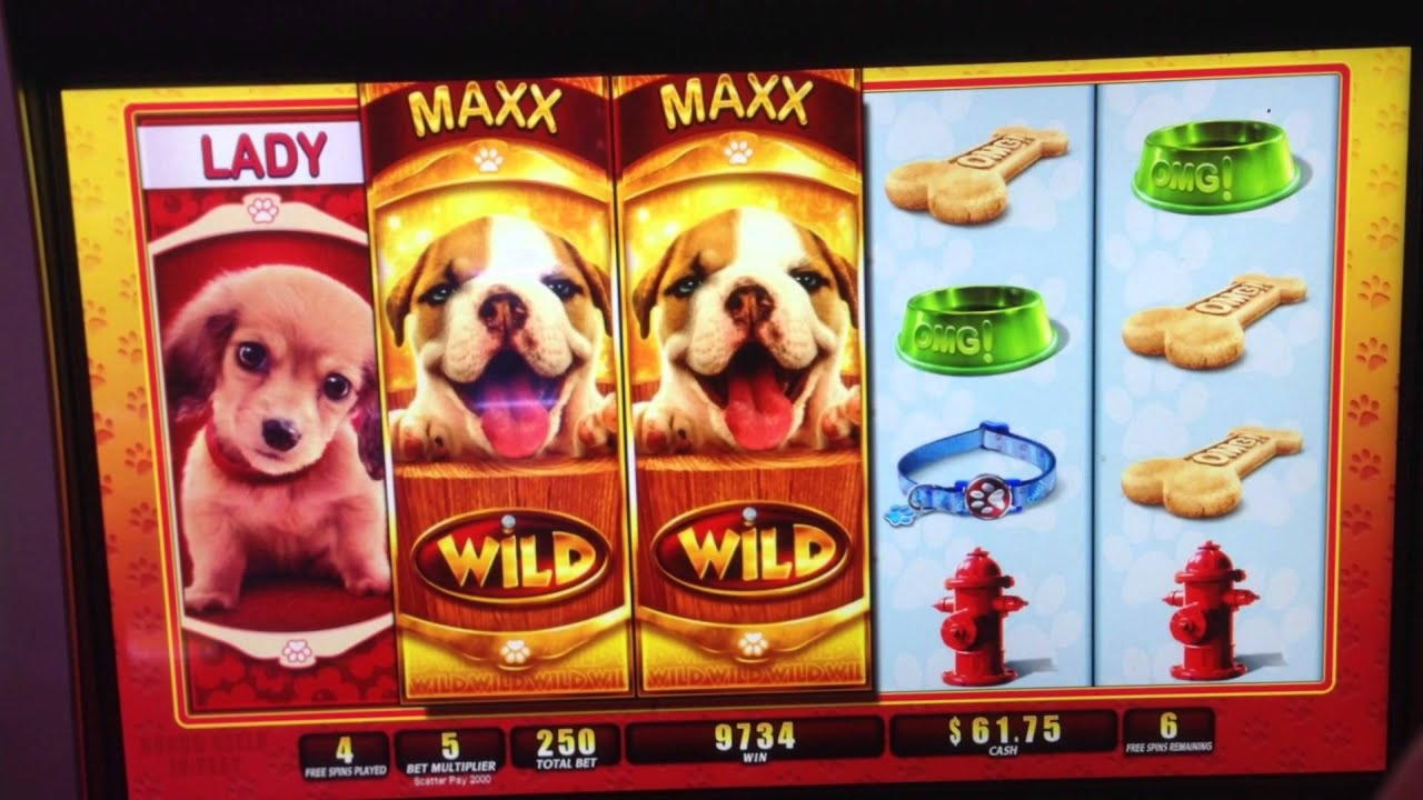 £570 Casino Tournament at Casino Max
