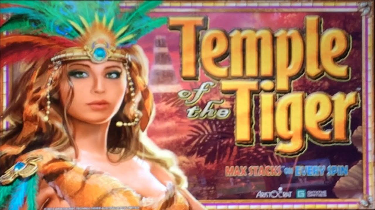 €240 free chip casino at BoVegas Casino