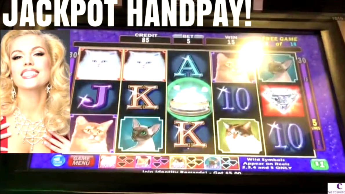 €355 Free Cash at Miami Club Casino