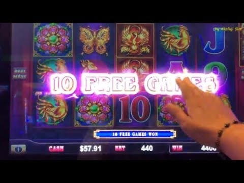 ﻿$4955 No deposit bonus at Red Stag Casino