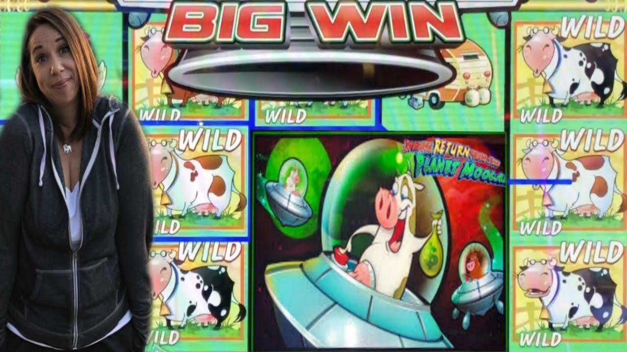 EURO 888 Daily freeroll slot tournament at CoolCat Casino