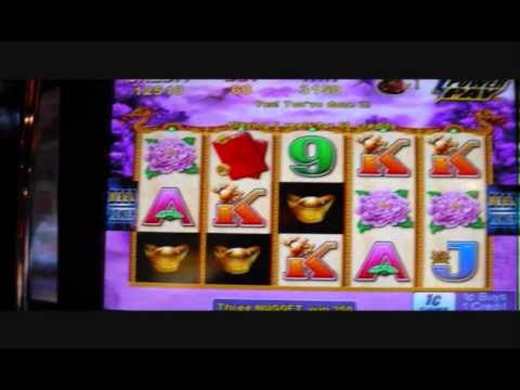 15 Free Spins Casino at Desert Nights Casino