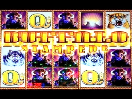 510% Match at a Casino at CoolCat Casino