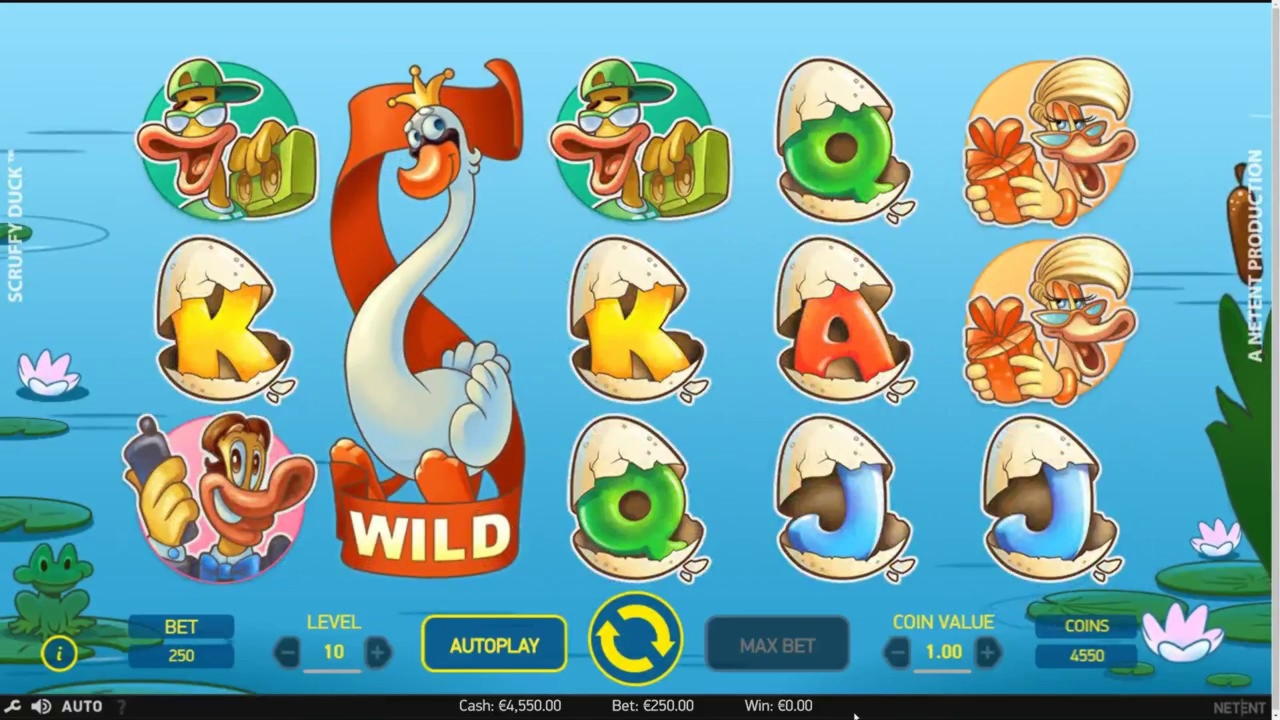 855% No Rules Bonus! at Red Stag Casino