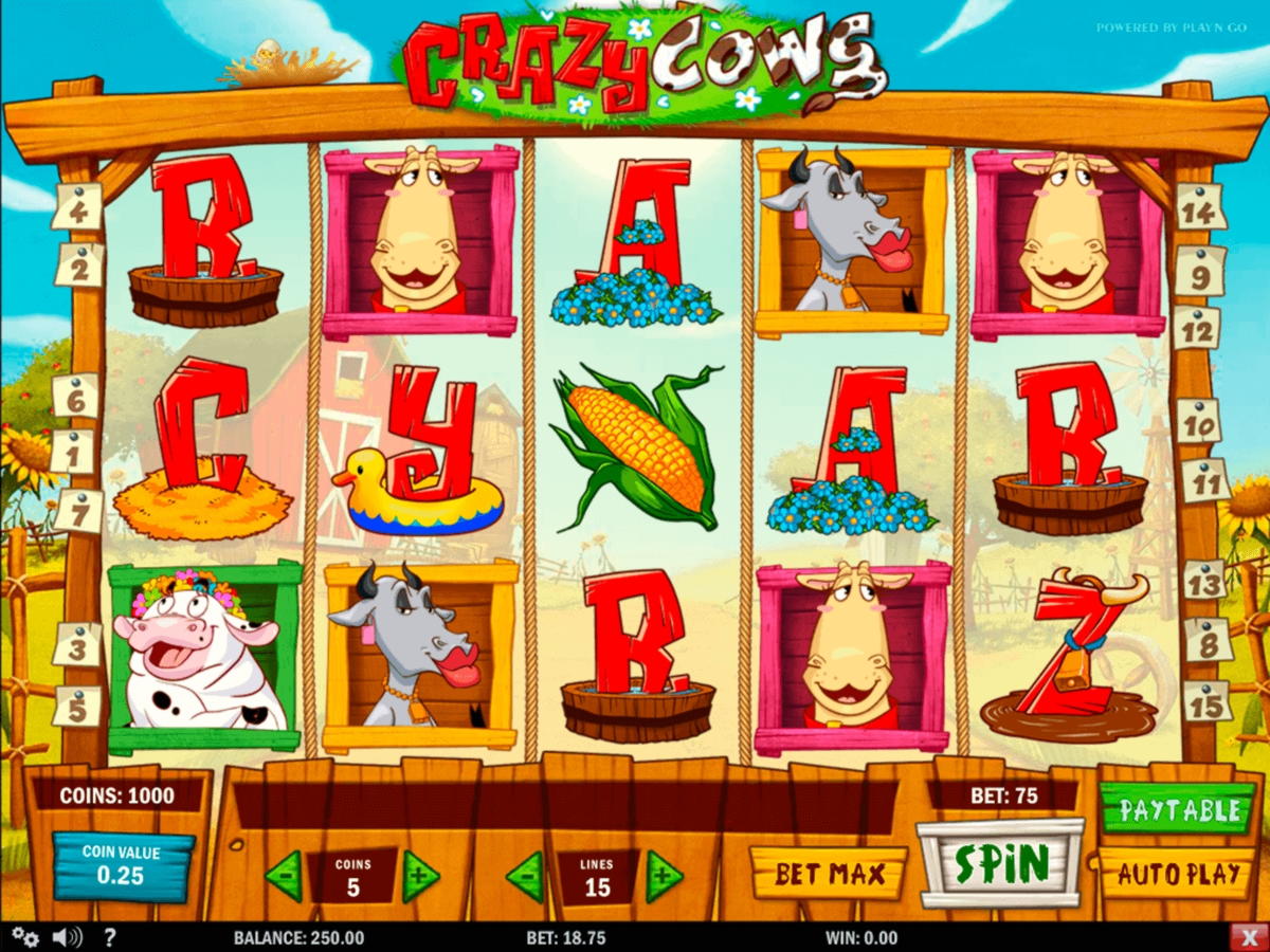 Eur 60 Online Casino Tournament at Ignition Casino
