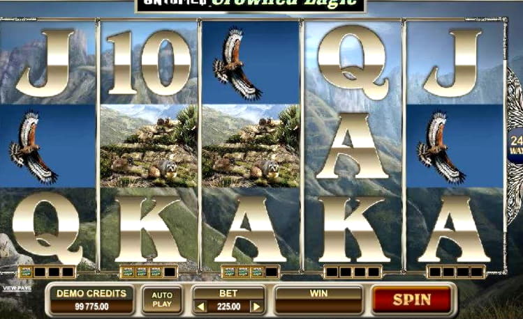 200 Free Spins right now at Red Stag Casino