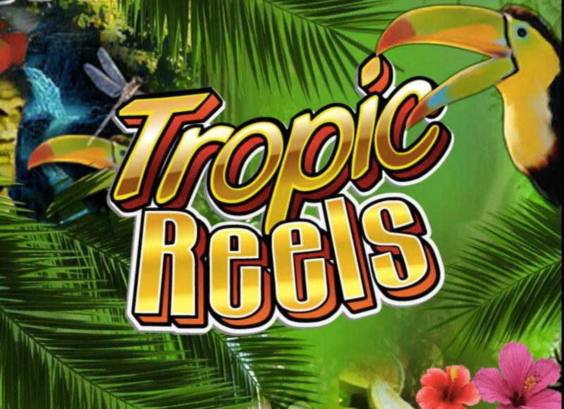 ﻿$555 Daily freeroll slot tournament at BoVegas Casino