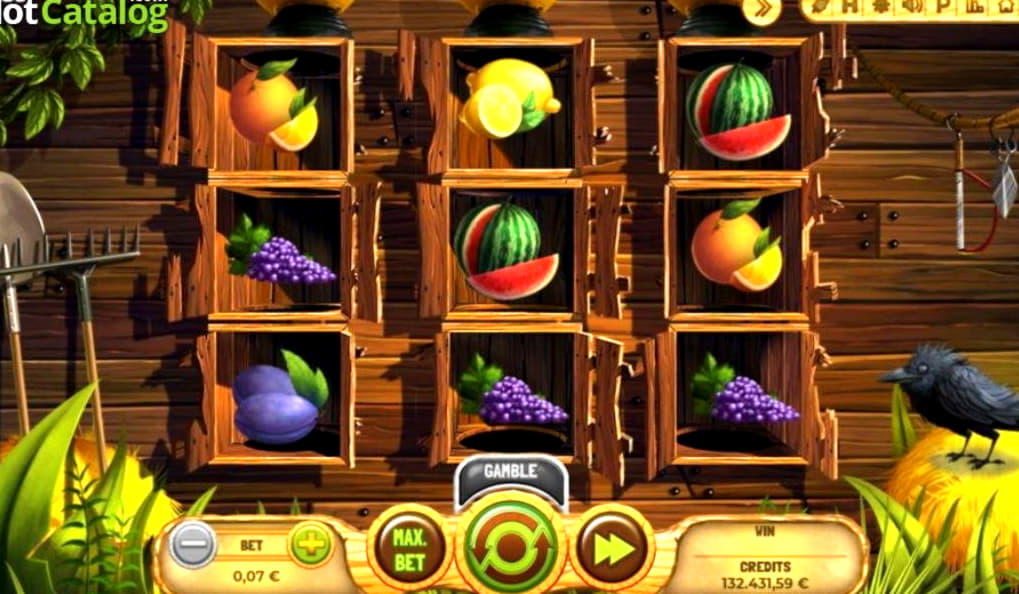 $455 free chip casino at Ignition Casino
