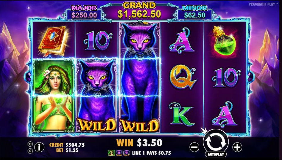 100% Match Bonus Casino at Royal Ace Casino