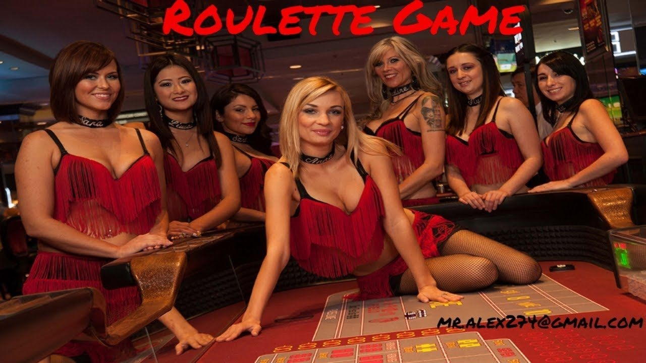 ﻿$805 Online Casino Tournament at CoolCat Casino