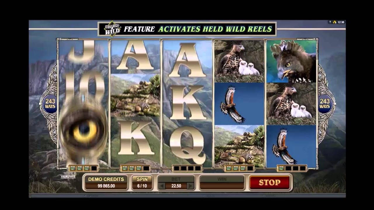 €690 FREE CHIP at CoolCat Casino