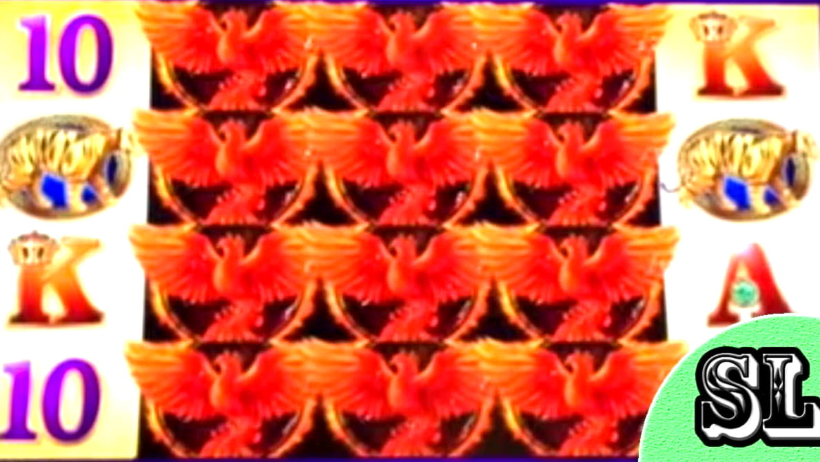 95% Match Bonus at Red Stag Casino