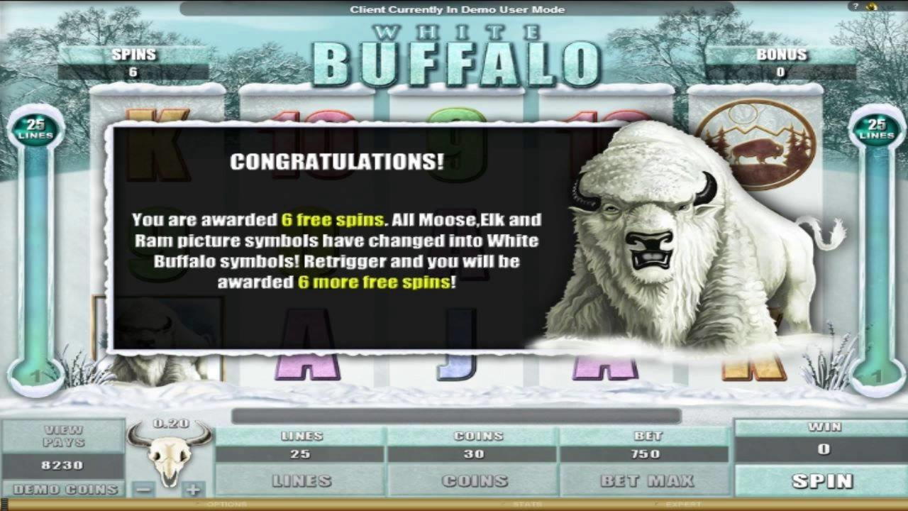 45% Casino match bonus at Golden Lion Casino