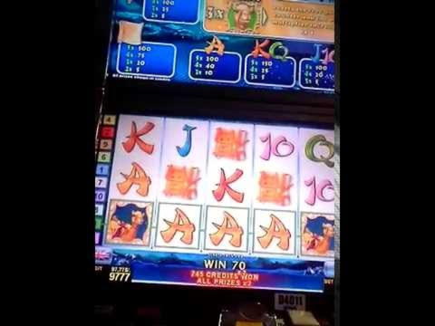 EUR 4370 NO DEPOSIT BONUS CASINO at Golden Lion Casino