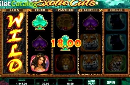 Eur 135 Free Casino Tournament at Supernova Casino