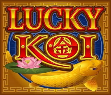 655% First Deposit Bonus at Free Spin Casino
