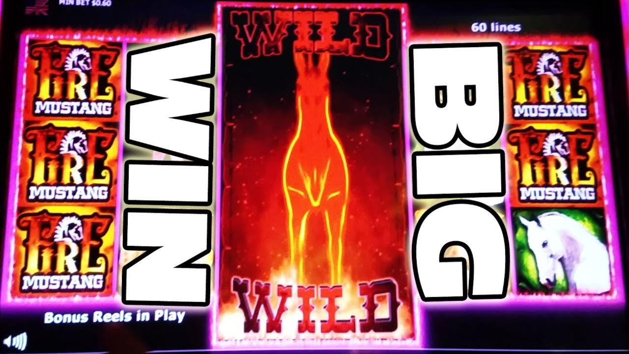 €835 Free Casino Tournament at Cafe Casino