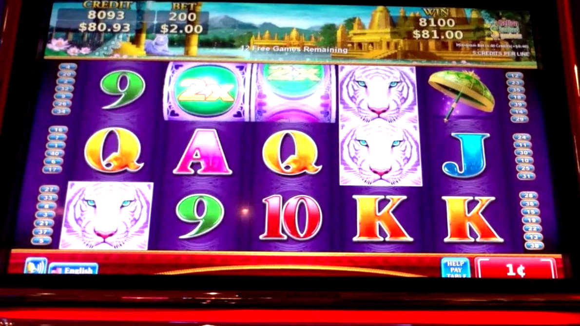 £2545 no deposit bonus casino at Royal Ace Casino