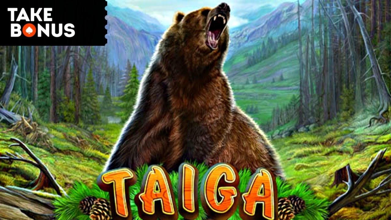 275% casino match bonus at Casino Max