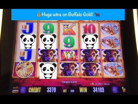 $4035 No deposit casino bonus at Lucky Red Casino