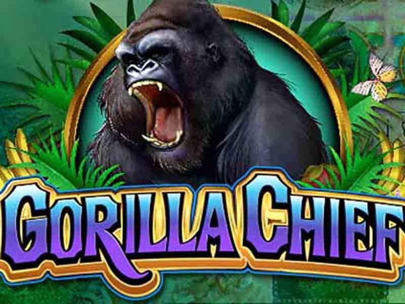 ﻿$444 Daily freeroll slot tournament at Vegas Crest Casino