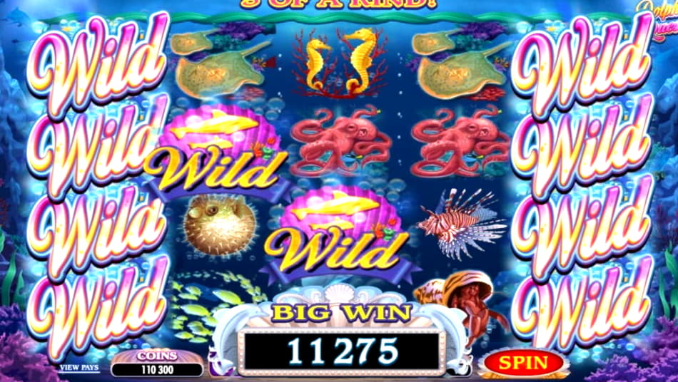 EURO 985 No deposit at Free Spin Casino