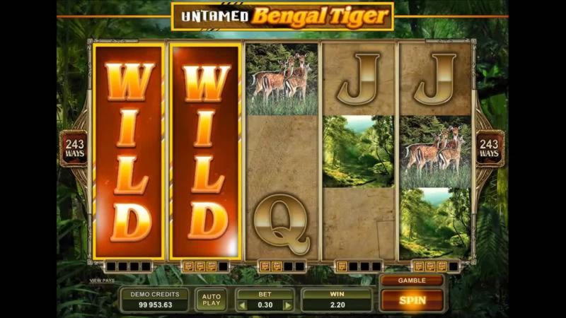 200 Loyal Free Spins! at Cafe Casino