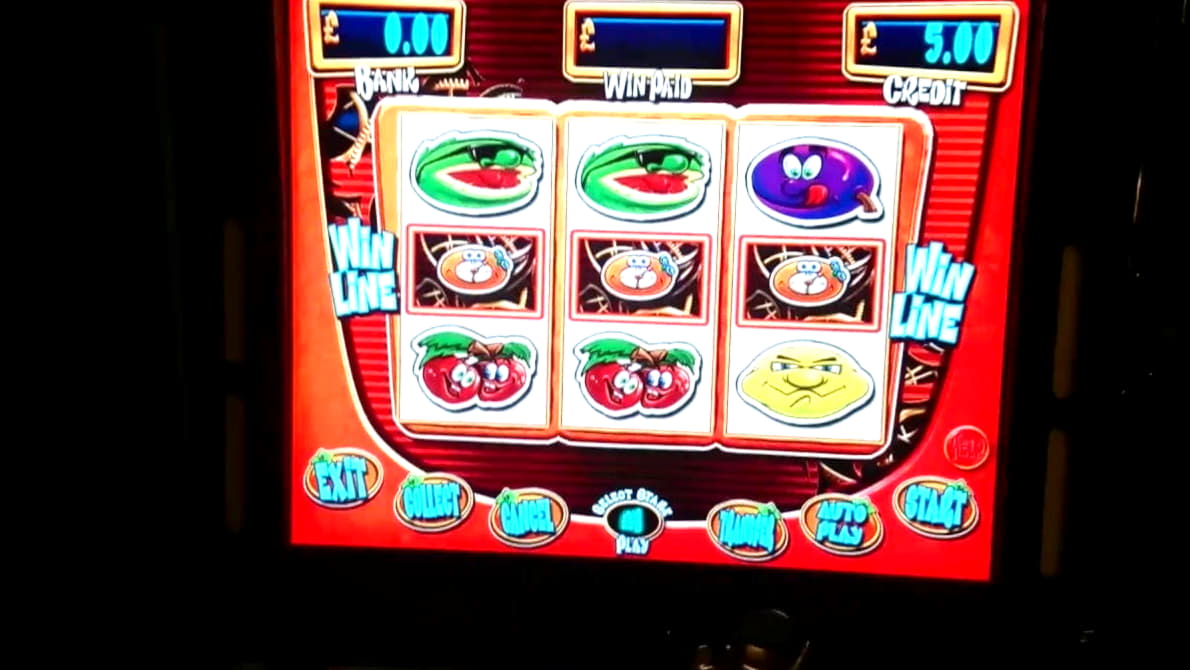 65 Free Spins at Free Spin Casino