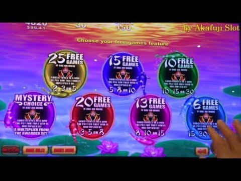 €2080 NO DEPOSIT BONUS CASINO at Ignition Casino