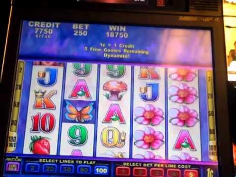 €995 Mobile freeroll slot tournament at Ignition Casino