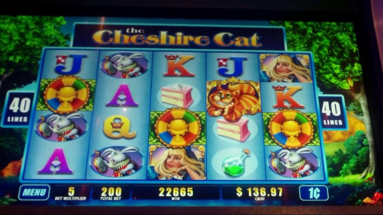220% Match at a Casino at CoolCat Casino