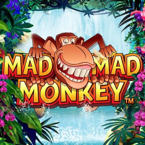 355% Best Signup Bonus Casino at Cafe Casino